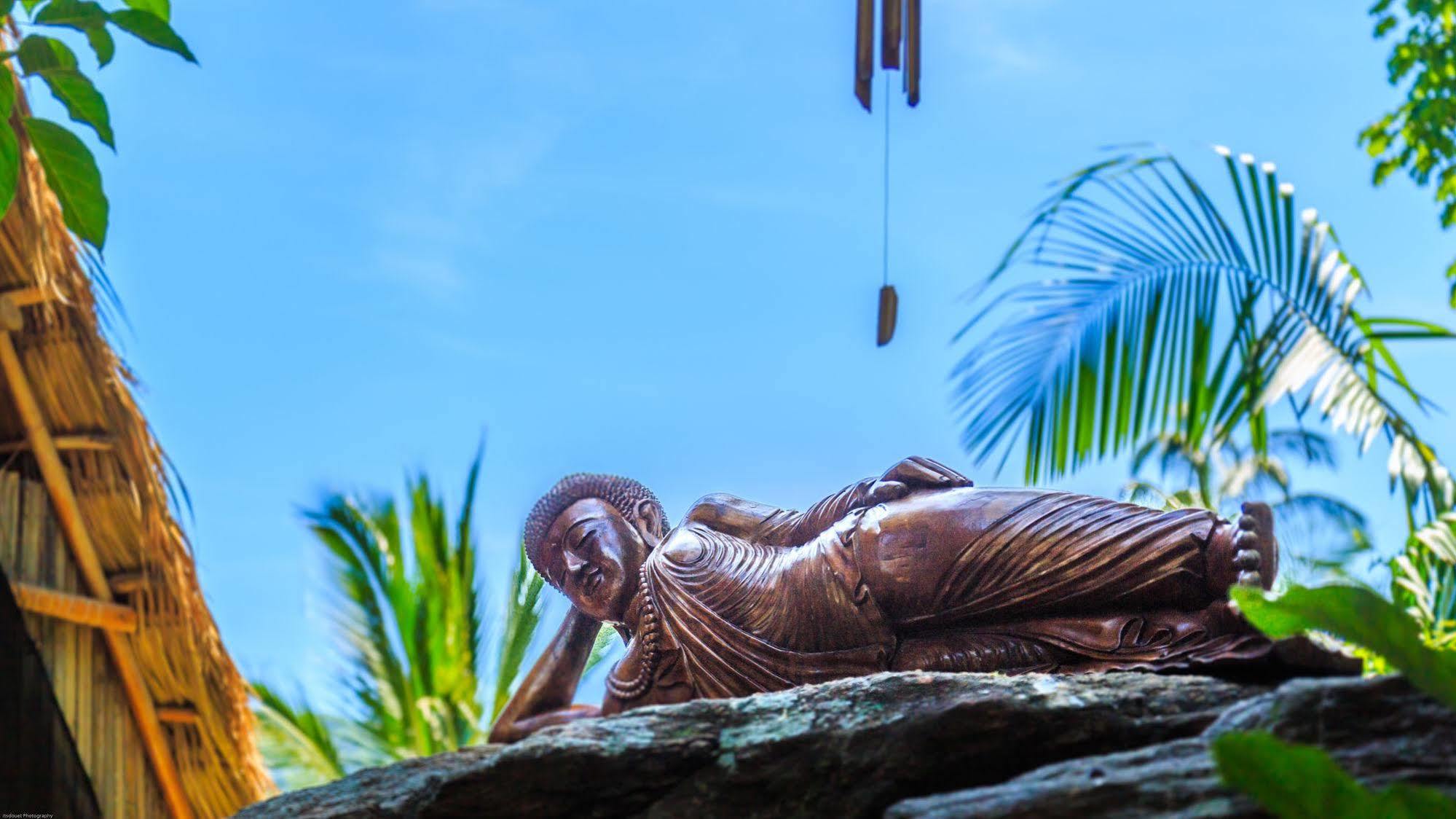 Casa Pericos Yelapa Hotel Eksteriør billede